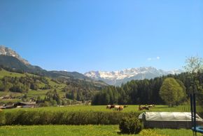 General information about your stay at Fewo Herbst