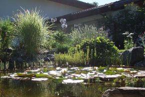 General information about your stay at Fewo Irmgard Fritsch