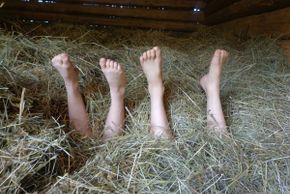 General information about your stay at Fewo Raimund Gredler