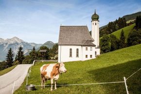 General information about your stay at Fewo Raimund Gredler