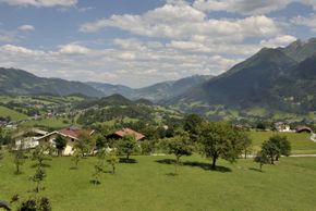 General information about your stay at Fewo Reitmayrgut