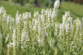 General information about your stay at Fewo Reitmayrgut