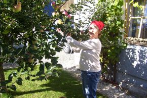 General information about your stay at Fewo Schäfer - Log Home