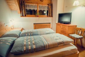 General information about your stay at Fewo Tlusel