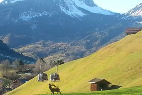 General information about your stay at Franz Josefs Hoehe