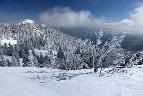 General information about your stay at FW Piatka Andres