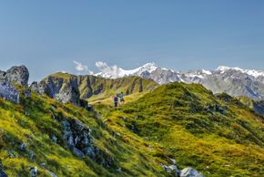 General information about your stay at Apartments Niederseer