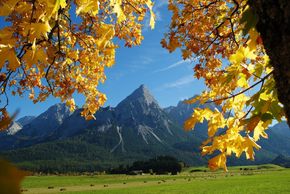 General information about your stay at Gästehaus Alpenblick