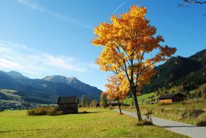 General information about your stay at Gästehaus Alpenblick