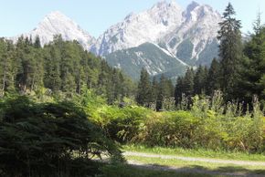 General information about your stay at Gästehaus Alpenblick