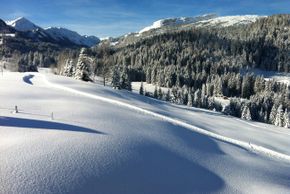 General information about your stay at Gästehaus Boersch