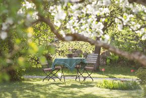 General information about your stay at Gästehaus Brand Hotel Garni