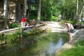 General information about your stay at Gästehaus Ingrid