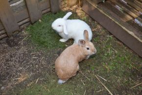 General information about your stay at Gästehaus Ingrid