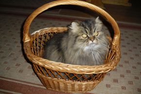 General information about your stay at Gästehaus Ingrid