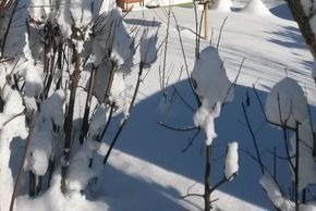 General information about your stay at Gästehaus Schmid