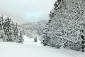 General information about your stay at Gästehaus Vogler