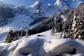 General information about your stay at Gasthof Gosausee