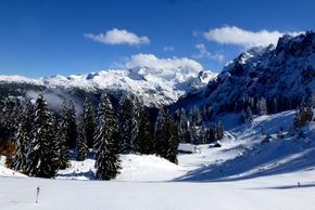 General information about your stay at Gasthof Gosausee