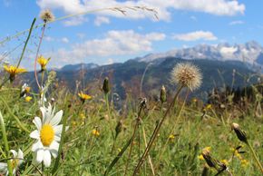 General information about your stay at Gasthof Waldwirt