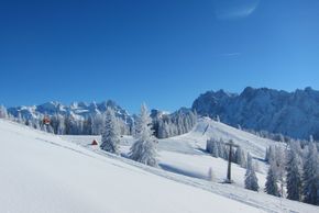 General information about your stay at Gasthof Waldwirt