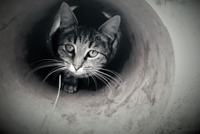 General information about your stay at Gsöllhof