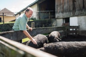 General information about your stay at Gut Lerchenhof