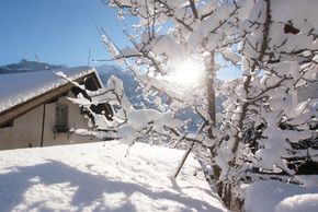 General information about your stay at Hans Bischofer