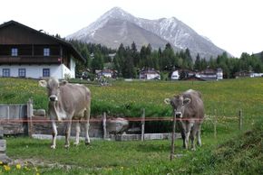 General information about your stay at Häuslerhof