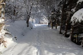 General information about your stay at Haus Maria