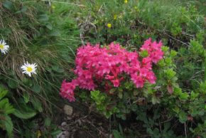 General information about your stay at Haus Marlene