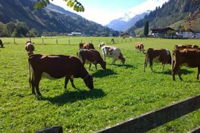 General information about your stay at Haus Marlene