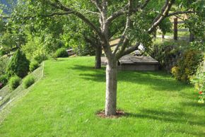 General information about your stay at Haus Melanie