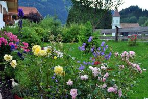 General information about your stay at Haus Andrea