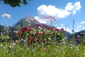 General information about your stay at Haus Anita