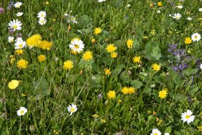 General information about your stay at Haus Anja