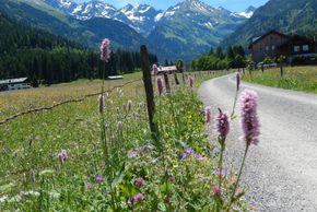 General information about your stay at Haus Anton