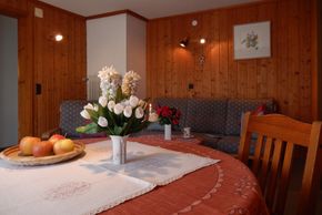 General information about your stay at Haus Anton