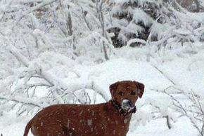 General information about your stay at Haus Burgman