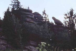 General information about your stay at Haus Bayerwald