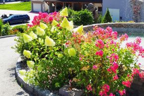 General information about your stay at Haus Dagmar