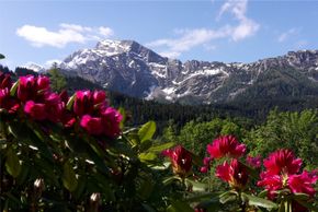 General information about your stay at Haus Frechen Fendt