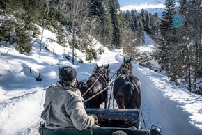 General information about your stay at Haus Hartlbauer