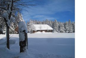 General information about your stay at Haus Janßen-Wehrle