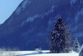 Salzburger Saalach-valley in winter