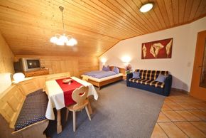 General information about your stay at Haus Plattenkar