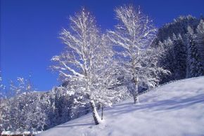 General information about your stay at Haus Robi