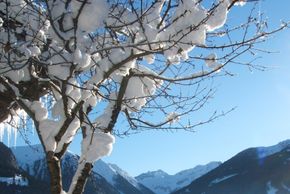 General information about your stay at Haus Talblick