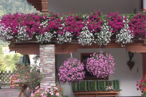 General information about your stay at Haus Taxacher