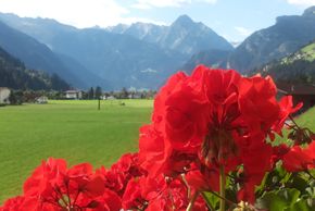 General information about your stay at Haus Zillertal